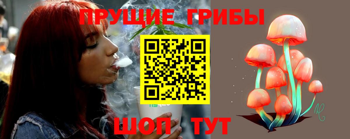 Галлюциногенные грибы Psilocybe  Вход с VPN  Лянтор 